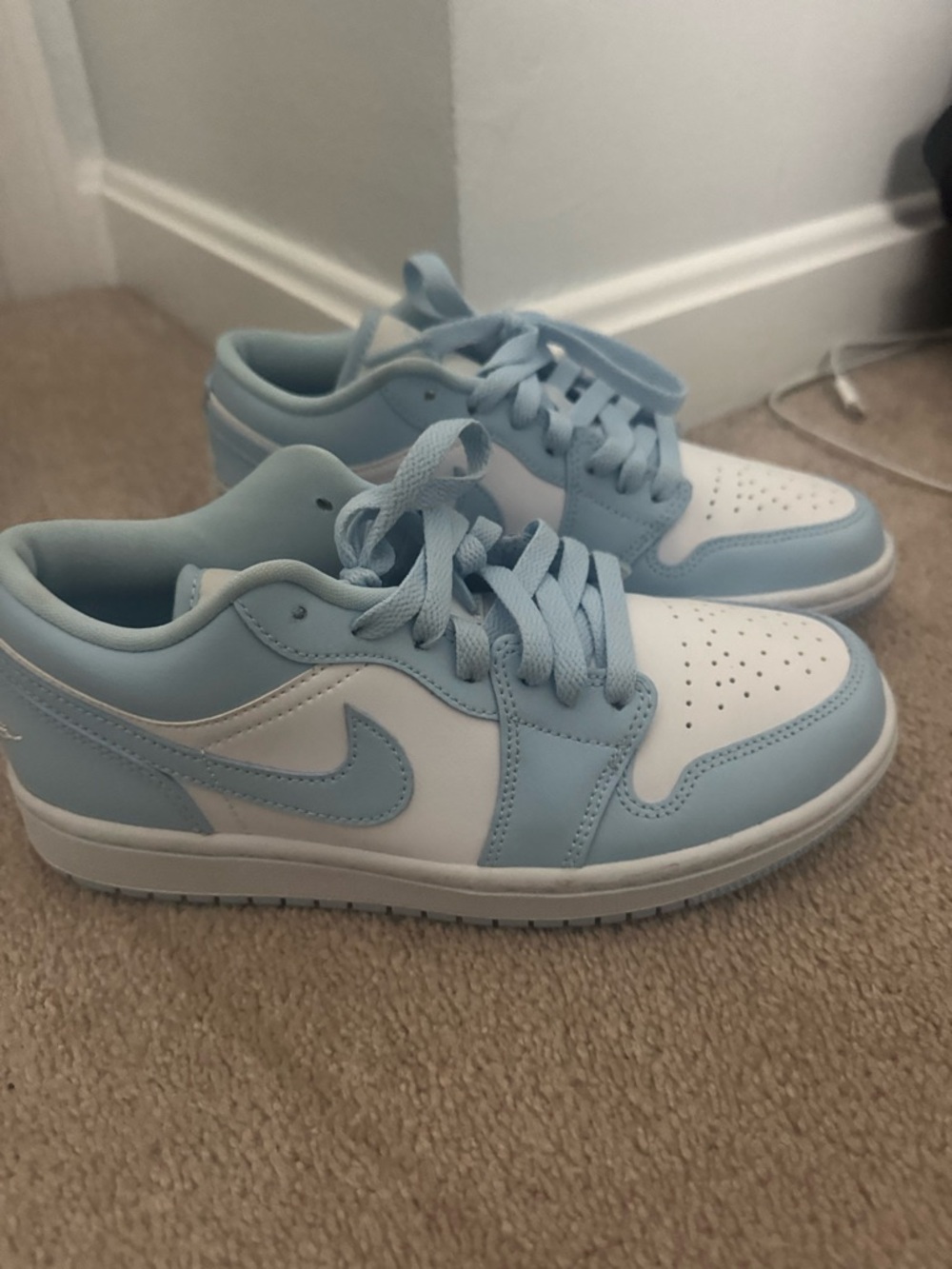 Nike Dunks in Light Blue and White